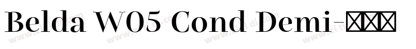 Belda W05 Cond Demi字体转换